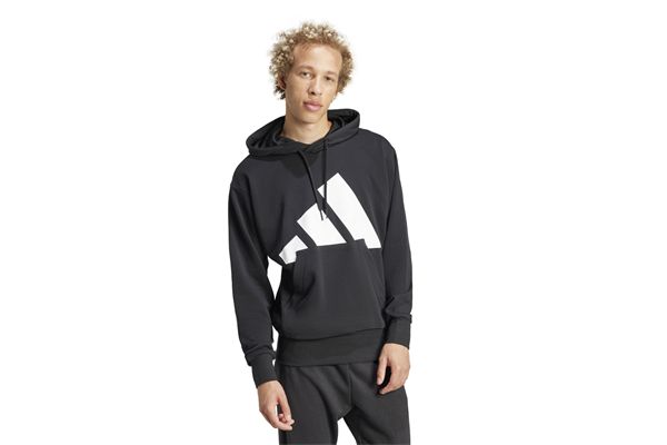 Felpa con cappuccio Essentials Big Logo Adidas ADIDAS | Felpe | IN6164-