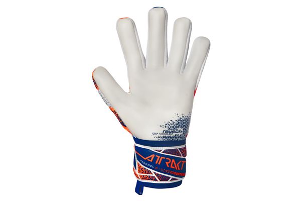 Guanti da Portiere Reusch Attrakt Gold NC REUSCH | Guanti da Portiere | 55701352500