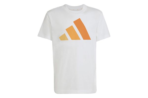 T-Shirt Adidas Essentials Ragazzi ADIDAS | Maglie | KS0384-