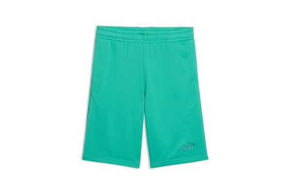 Pantaloncini da ragazzo Puma Essentials Small No.1 Logo PUMA | Pantaloncini | 69297440