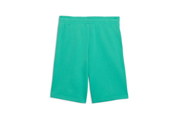 Pantaloncini da ragazzo Puma Essentials Small No.1 Logo PUMA | Pantaloncini | 69297440